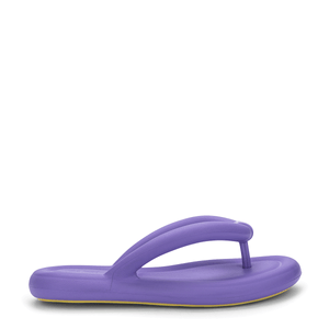 Melissa Flip Flop Free Lilás Amarelo 33531LA