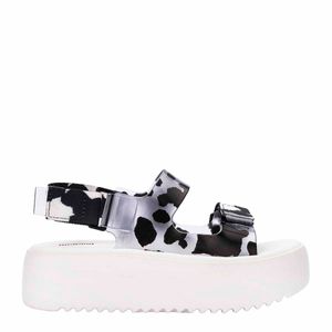 Melissa Brave Papete Platform Branco Vidro Preto 33714BVP