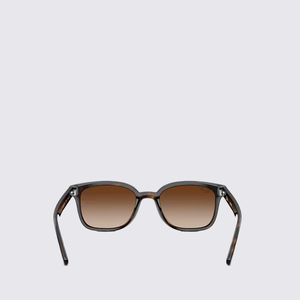 Óculos de Sol Ray-Ban RB4401D RB4461D71013