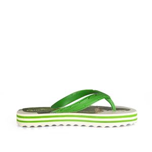 Chinelo Farm Rainbow Print Floresta