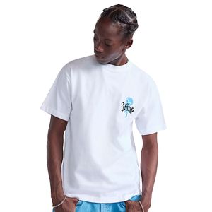 Camiseta Vans Ground Up White VN000PCHWHTS
